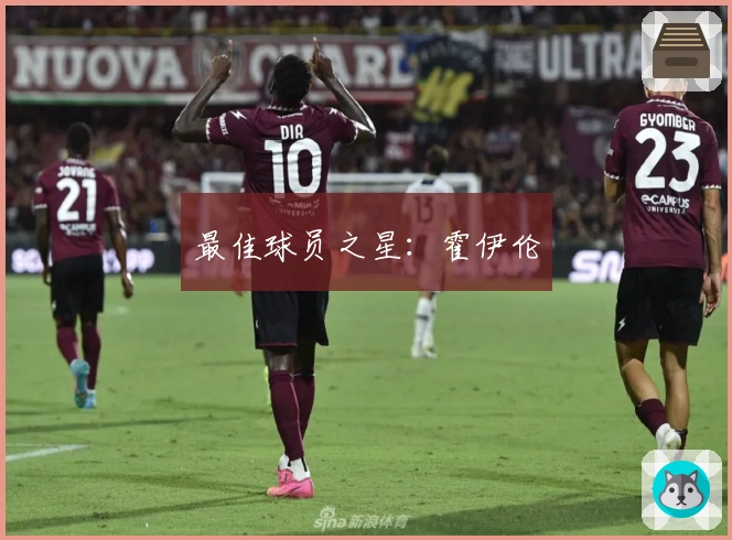 最佳球员之星：霍伊伦